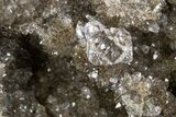 Herkimer Diamonds in Matrix - The Ace of Diamonds Mine, New York #324481-1